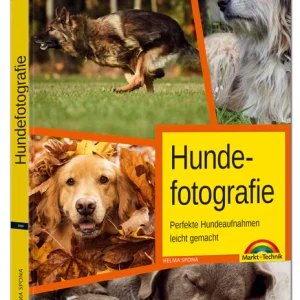 Hundefotografie