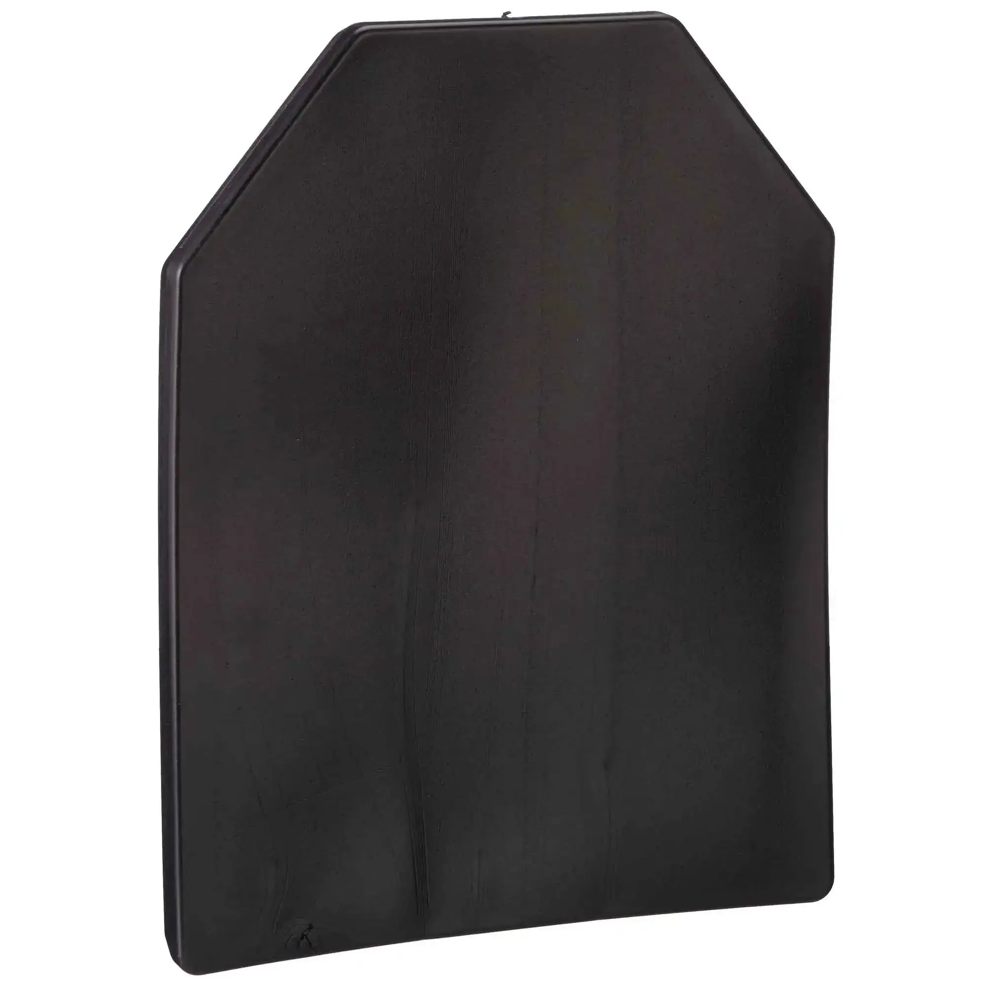 Trainingsplatte SAPI Dummy Plate – Bild 2