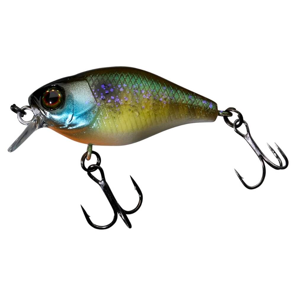 Chubby 38 (Floating) – Bild 5