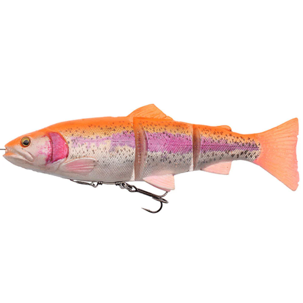 4D Line Thru Trout MS 25 cm / 193 g – Bild 2