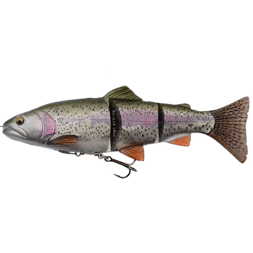 4D Line Thru Trout MS 25 cm / 193 g – Bild 4