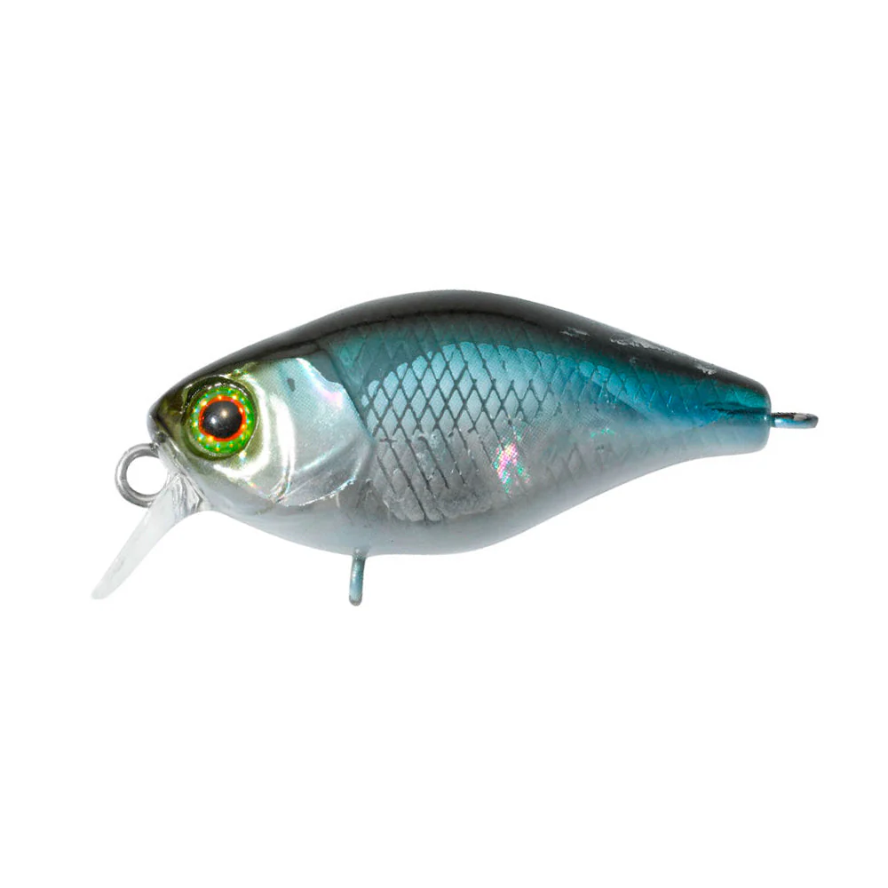 Chubby 38 (Floating) – Bild 9